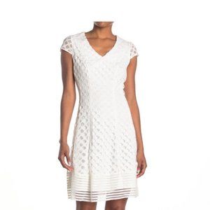 New Cap Sleeve Circle Lace Fit N Flare Dress Size 6